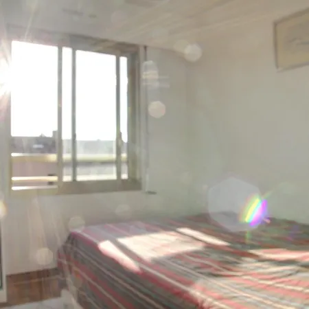 Pin Rolland サン・マンドリエ・シュル・メール